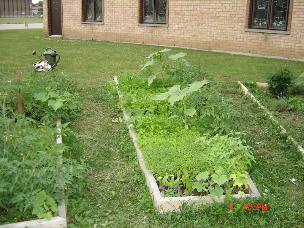 Community Garden by eekurd