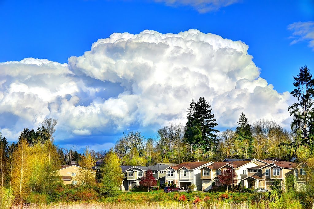 Summer clouds over Allen Lake, Sammamish, WA by Boathill