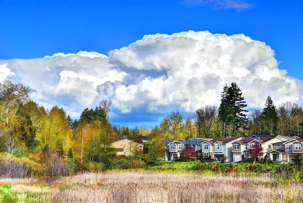 Summer clouds over Allen Lake, Sammamish, WA by Boathill