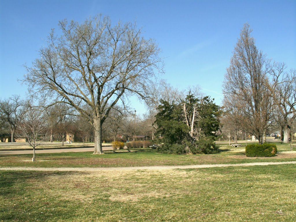 Oakdale Park, Split tree, Near Ice skating rink by "Teary Eyes" Anderson