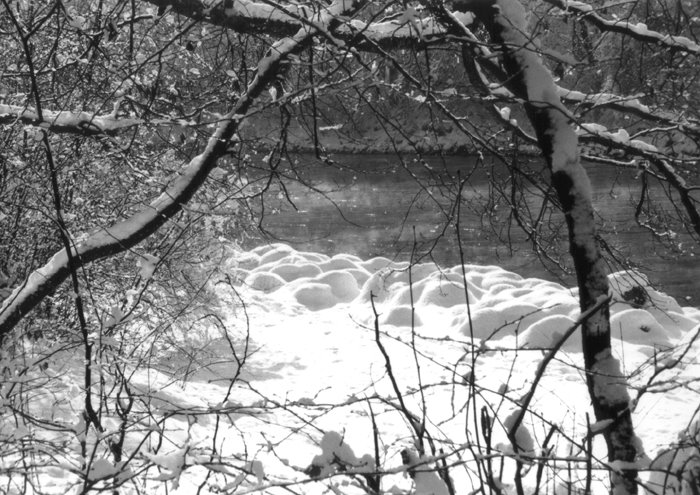 Aare, Elfenau, Bern, Februar 1999 by basis104