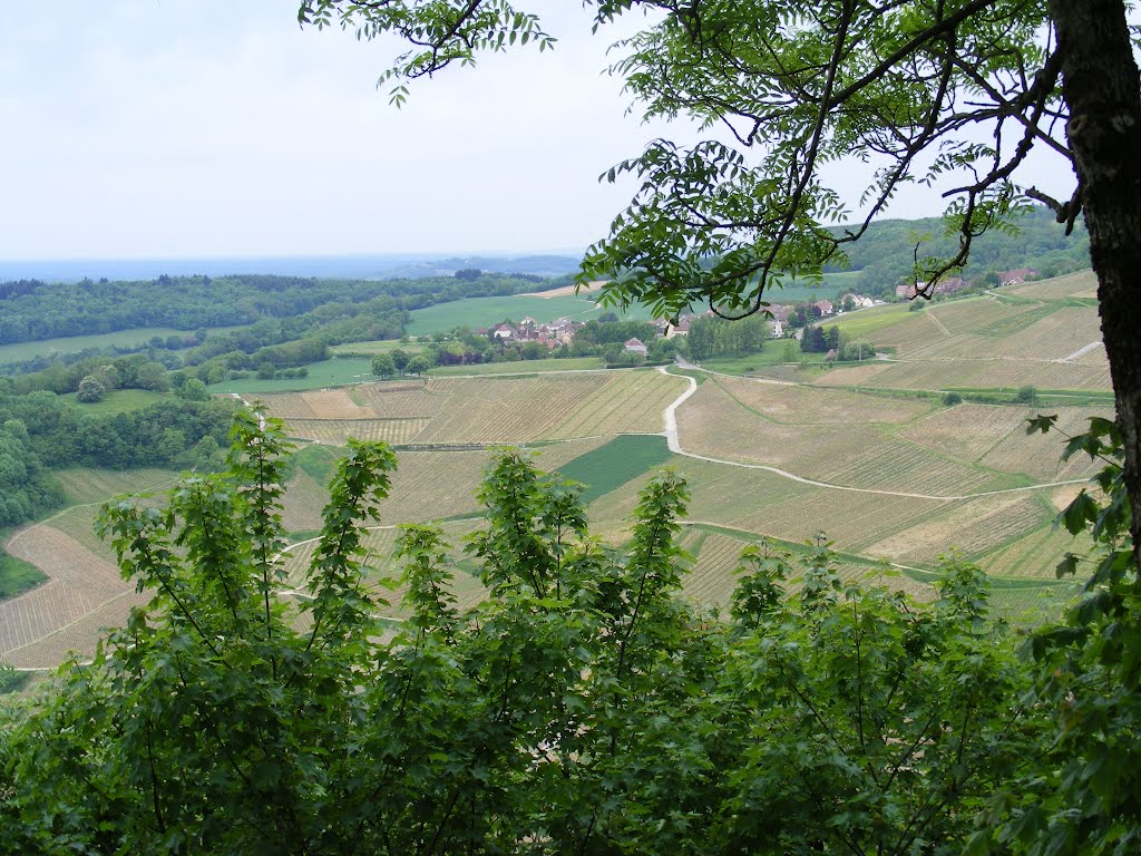 Vue depuis Rue Château Chalon by ksinfos