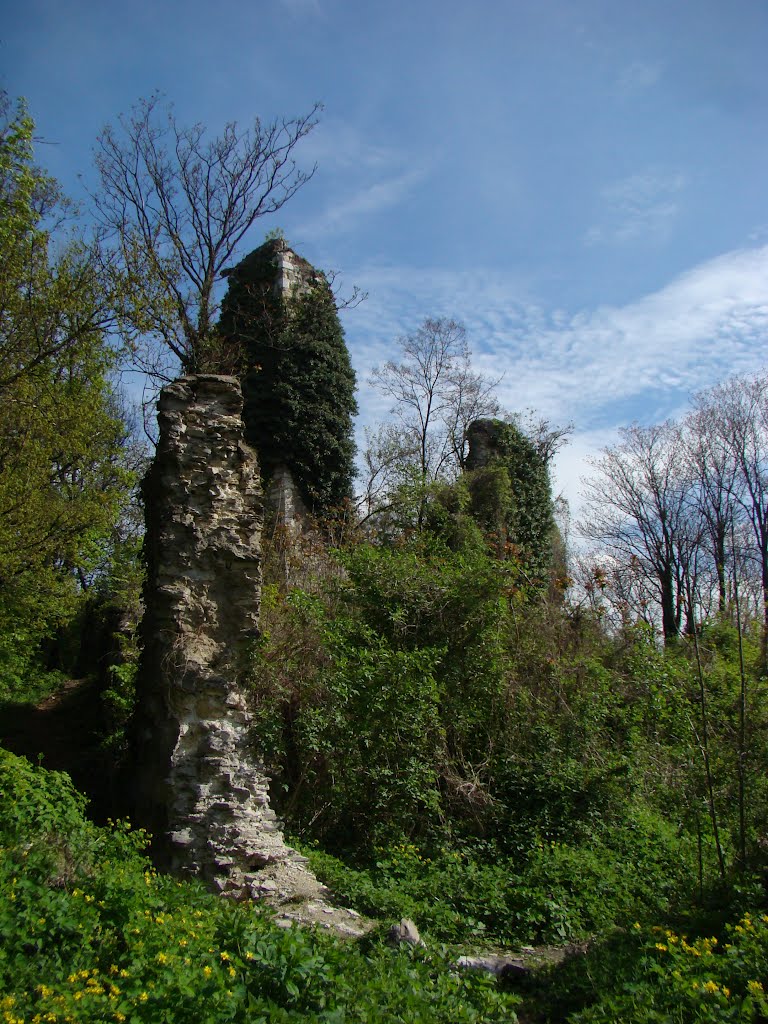 Ruševine susedgradske gradine by ZlatkoGustin