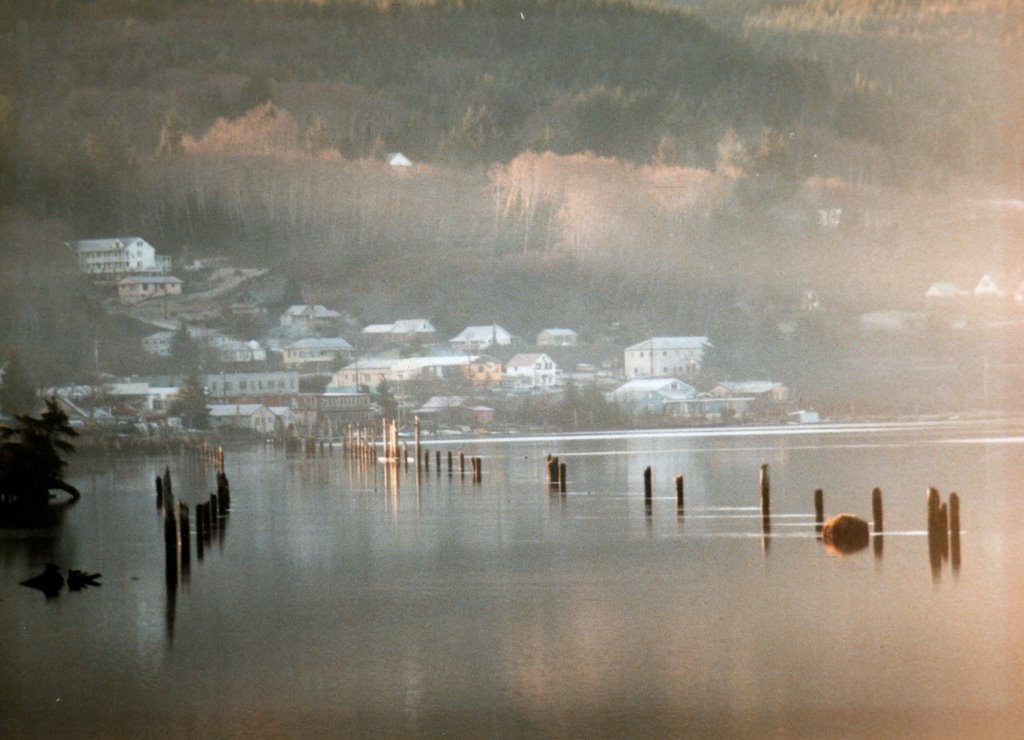 A January day in Wheeler, OR by scollins