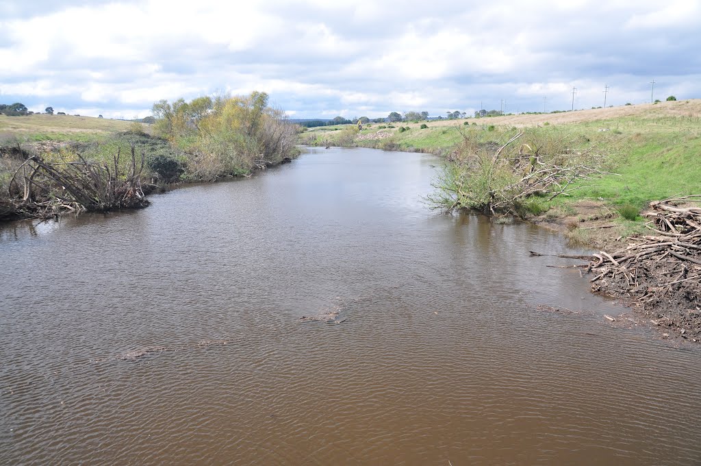 Molonglo River, ACT, Australia by Mark Jekabsons