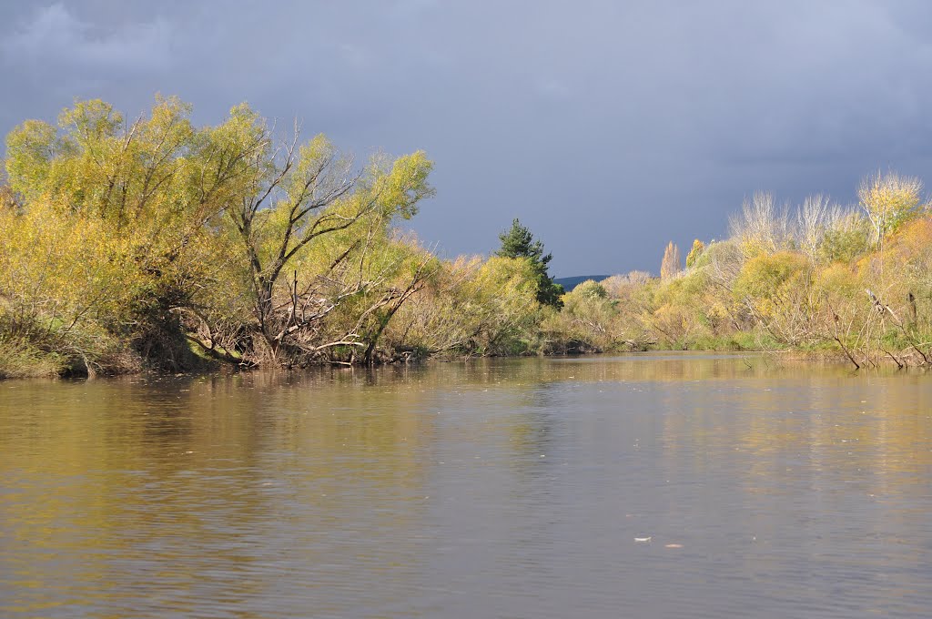 Molonglo River, ACT, Australia by Mark Jekabsons