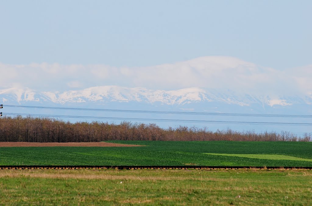 Cu Balcanii la fereastra by DiaC