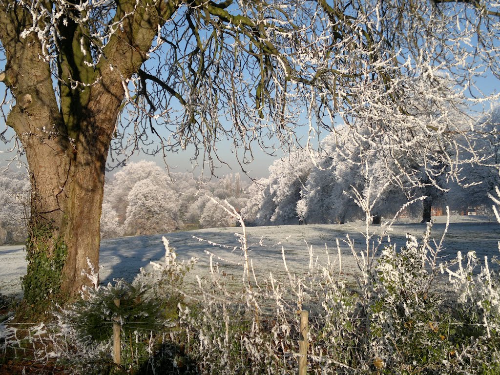 Abbey Fields, Kenilworth by Oltonramio