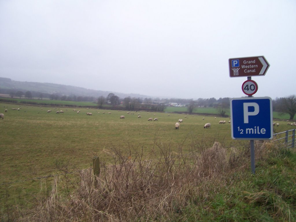 A sign with sheep in the background by A Photographer