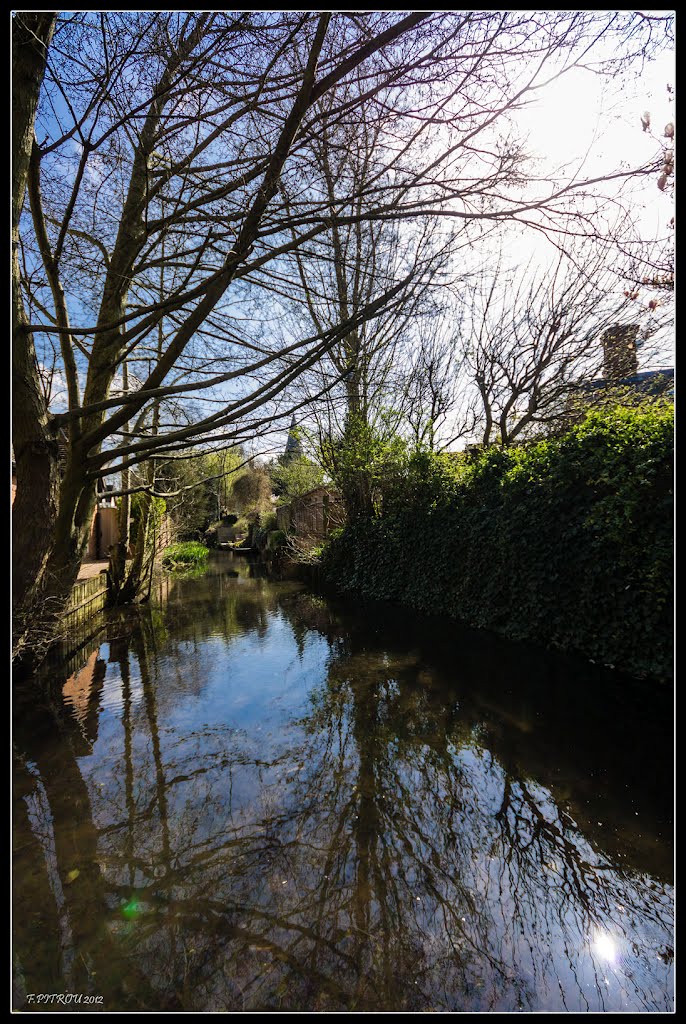 Back Light in SHERE # 1 by François PITROU_CHARLIE