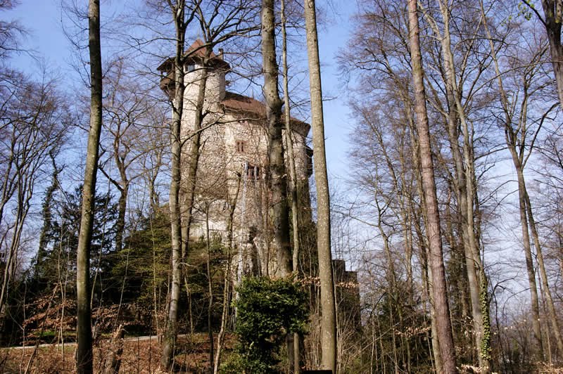 Burg Reichenstein-Arlesheim by Golinski Janusch