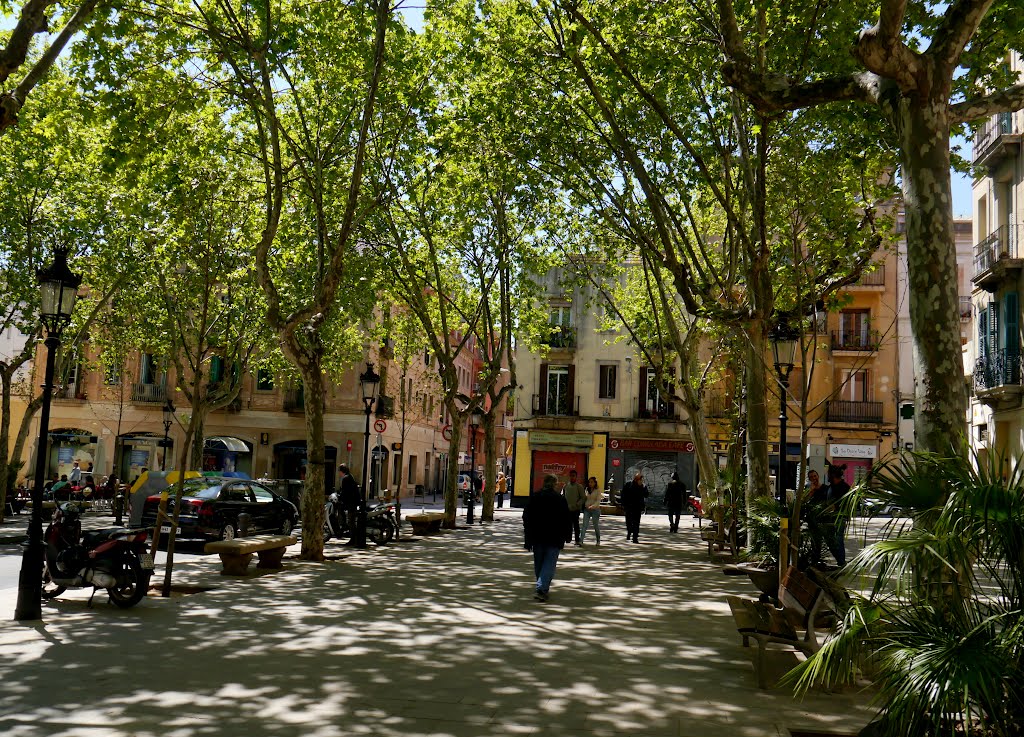 Plaça Rovira. Dedicada a Luis Eduardo Aute by sergivaldi22