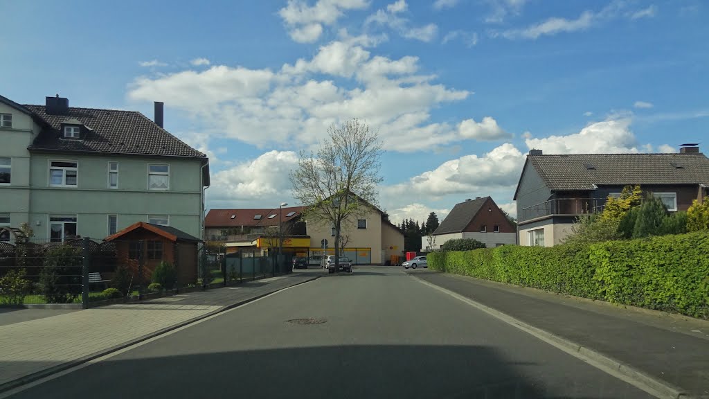 Wilhelmstraße, vor Kreuzung Holzstraße by knips-bis-zum-erbrechen-horst