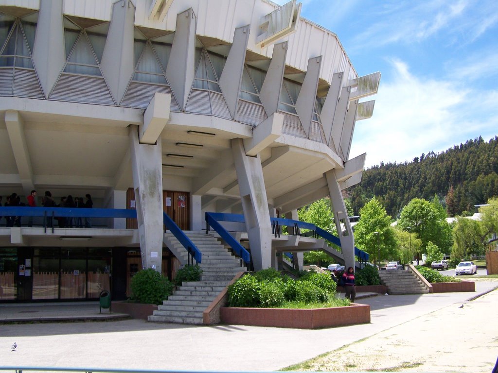 Universidad de Concepción by Manuel Narváez