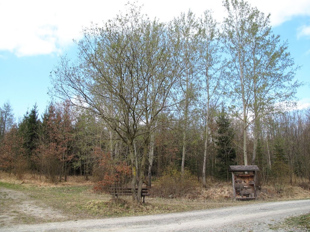 Weggabelung bei den Munitionsbunkern des ehem. Militärflugplatzes Dornberg (2. Weltkrieg) by lebola