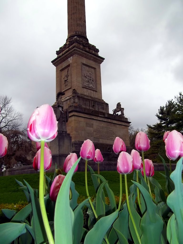 Spring Arrives at Brock's Monument by gr84all