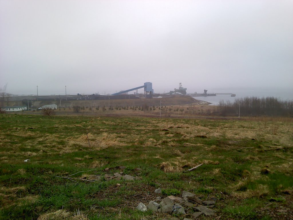 Brand New Trees Up by the Coal Pier by Frankie MacDonald