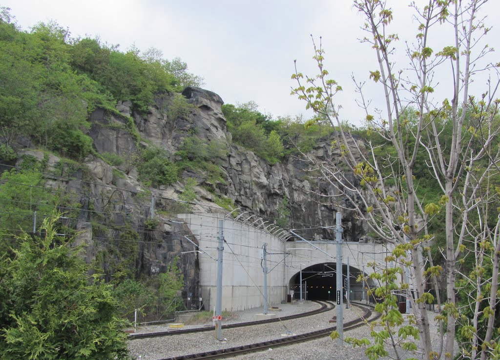 Bergenline Tunnel by Adam Elmquist