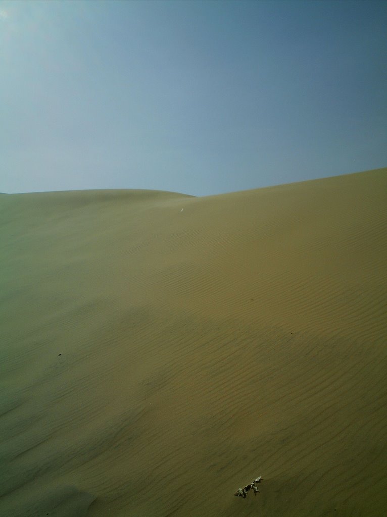 Medanos de coro by josefrancisco123