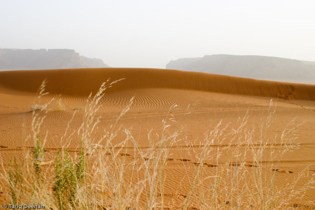 Red sand dunes on the way to Nissah by Tariq Deenah