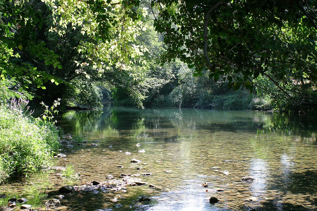 La Siagne après le barrage de Tanneron by jacro