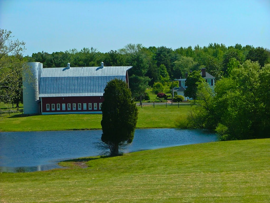 Farm at Leavells and Courthouse Rd. by TimPoe