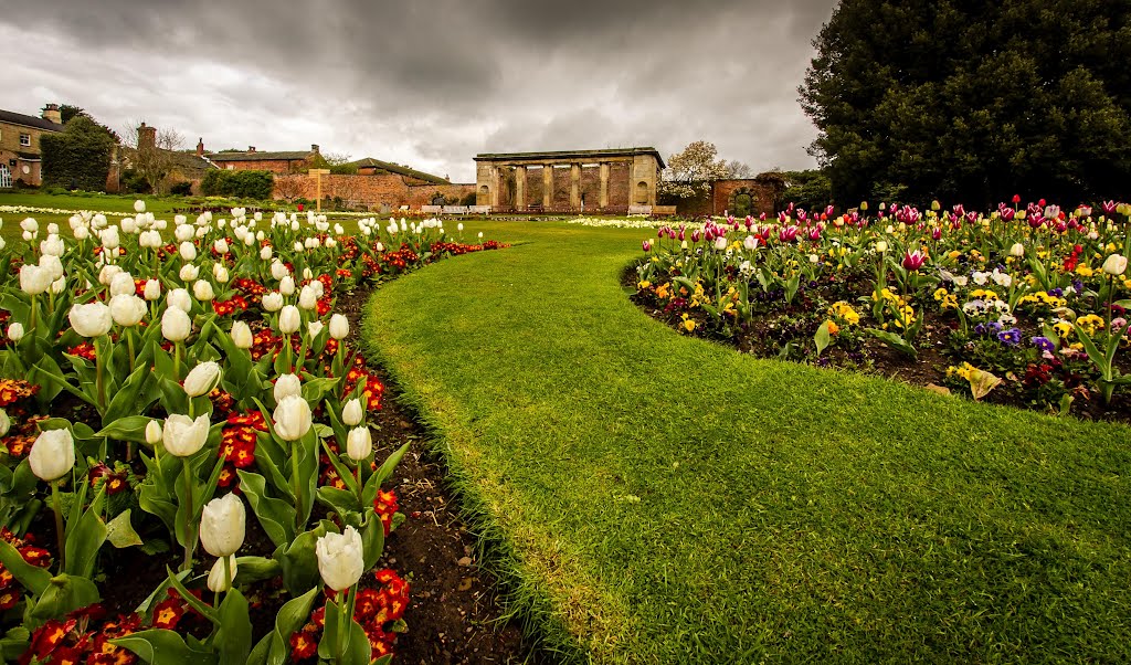 The Gardens in Spring by Stuart Murphy