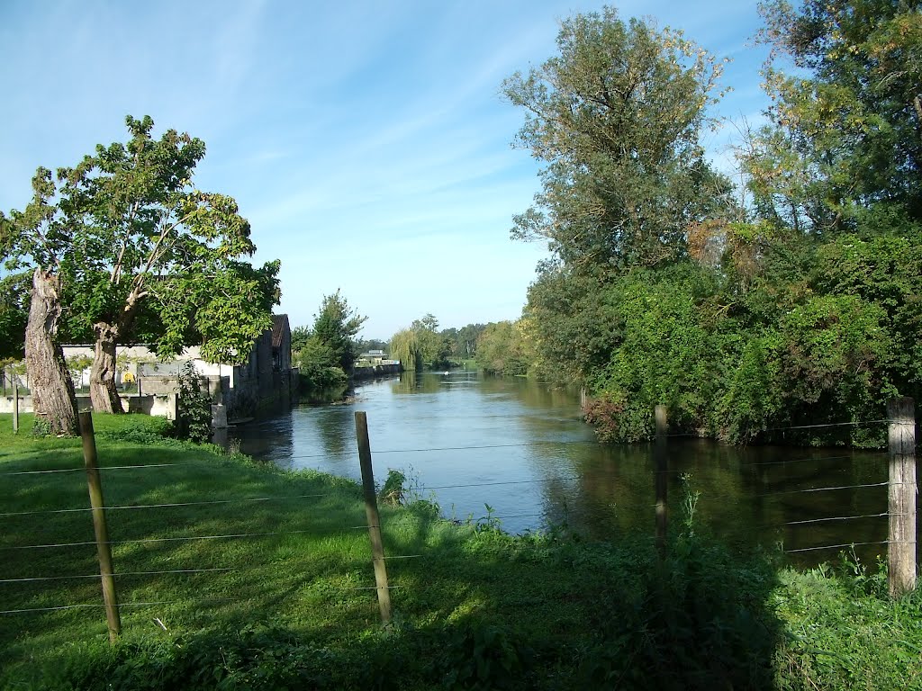 Bord de la Charente by Eddy Plantana