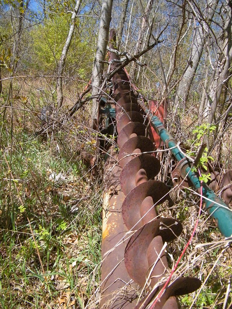 Auger, Cedar Creek Conservation Area, Oak Grove, Minnesota by © Tom Cooper