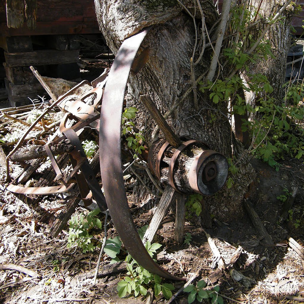 Axle & Rim, Cedar Creek Conservation Area, Oak Grove, Minnesota by © Tom Cooper