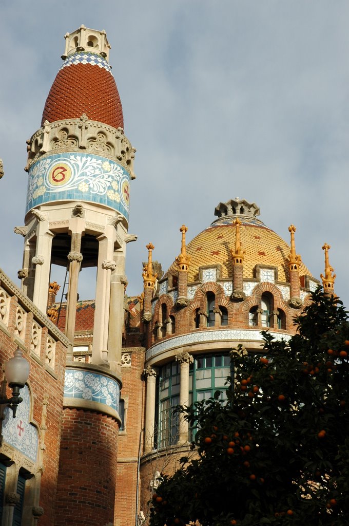 Pabellones del Hopsital de Sant Pau. by Christophe Trinquier