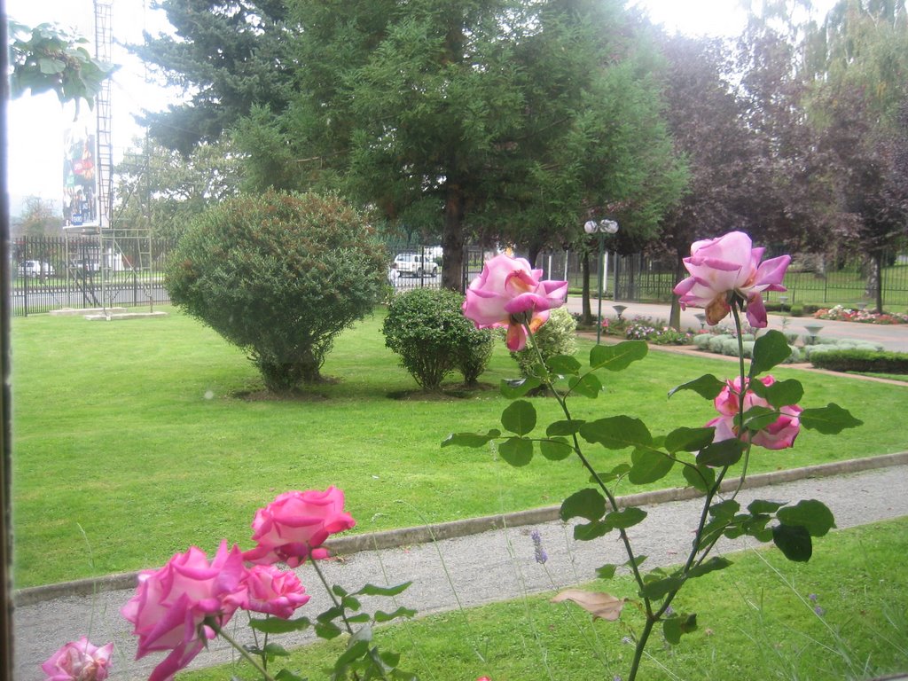 Exterior jardin del Teatro Municipal de Temuco by José Luis Abásolo Vallejo