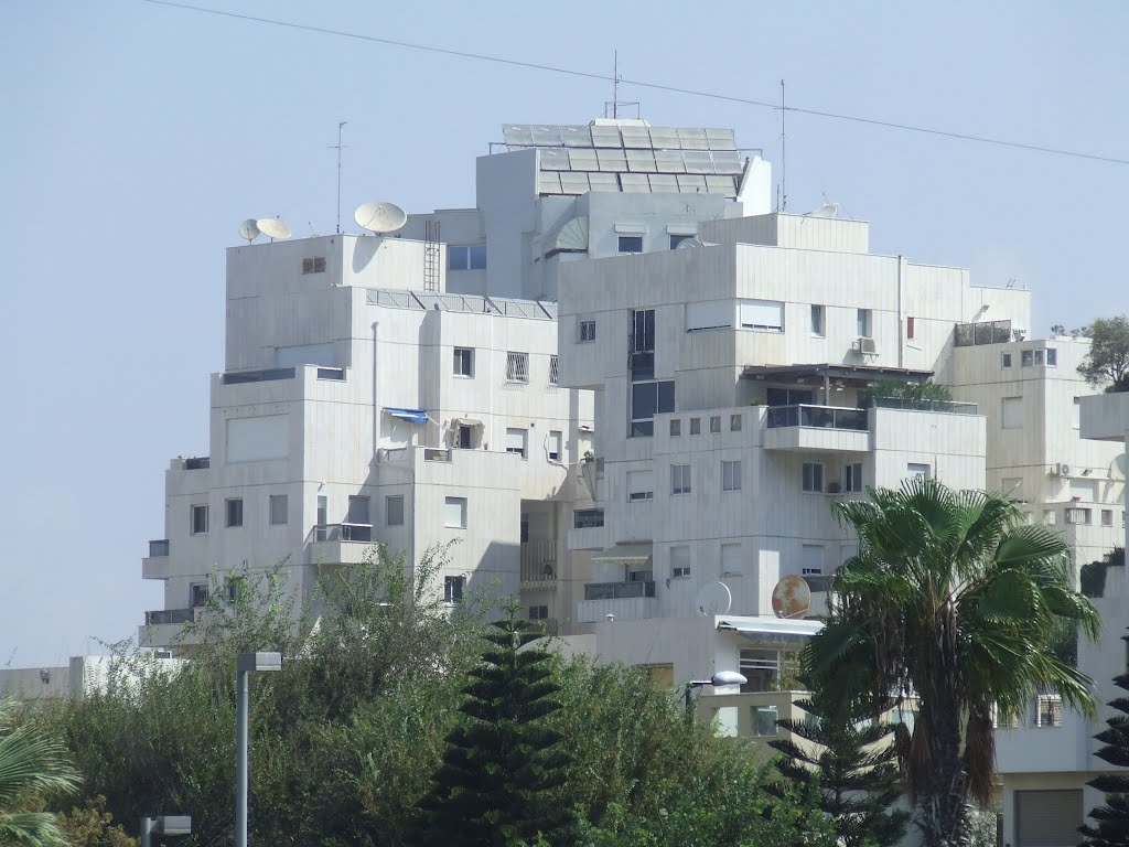 Israel. Tel Aviv (70897250) by Viktor Bakhmutov