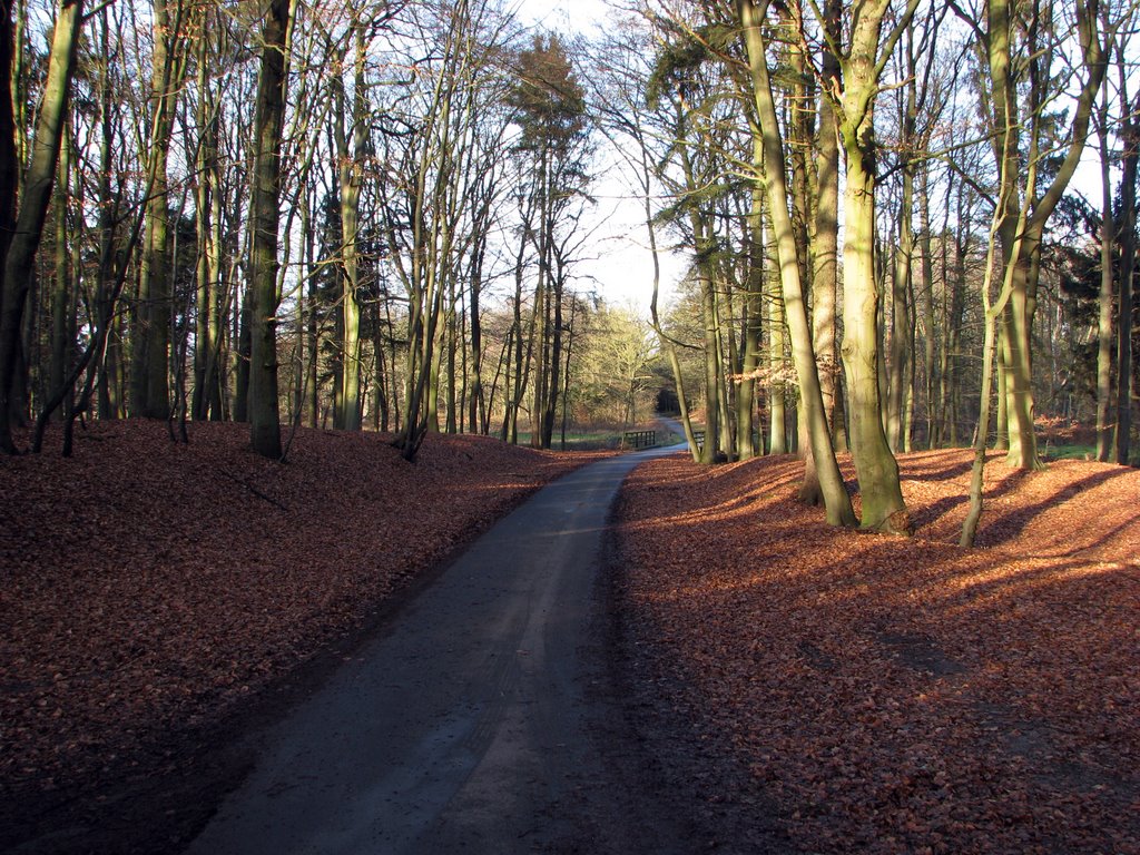 Waldweg an der Ahauser Mühle by tweety3d