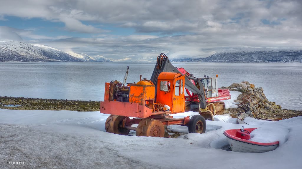 Disappearing snow (lomno) by Peter van Lom