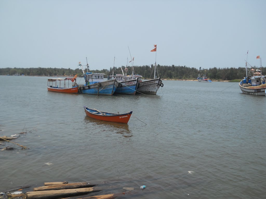 View of the Gurupur river from Sultan Battery. by Ar. M.Ali