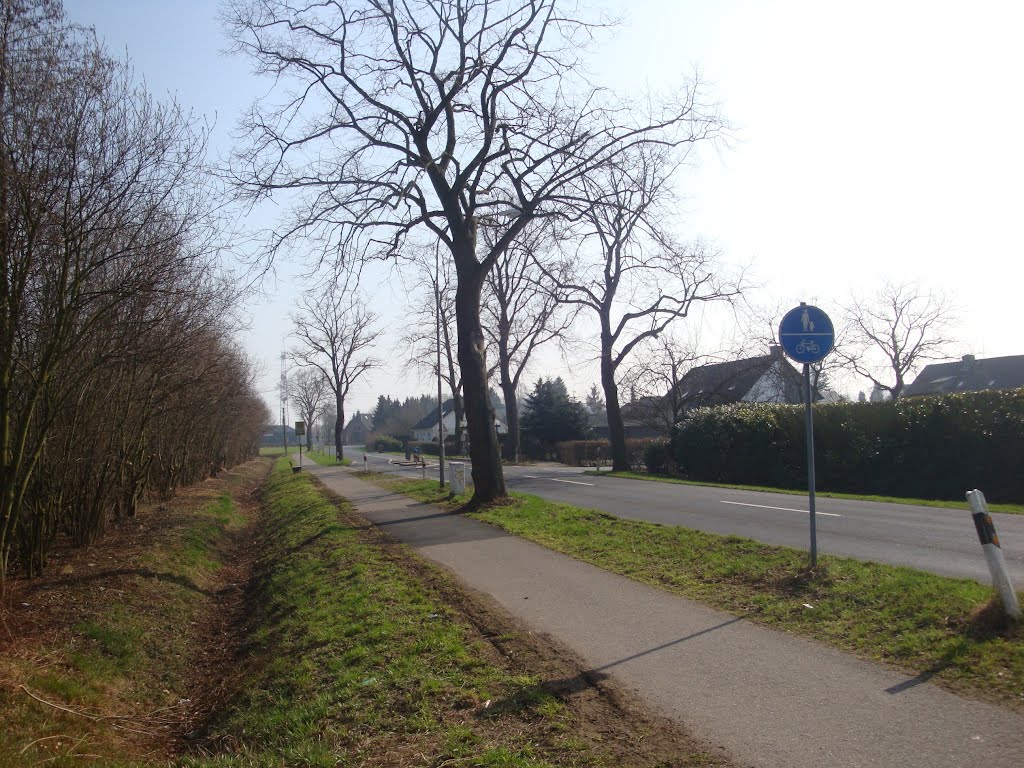 Willich-Anrath Neersenener Strasse by Achim Gathen