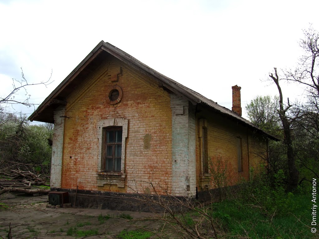 Дореволюційна залізнична будка поблизу сучасної ст. "Мудрьона" by Dmitry Antonov