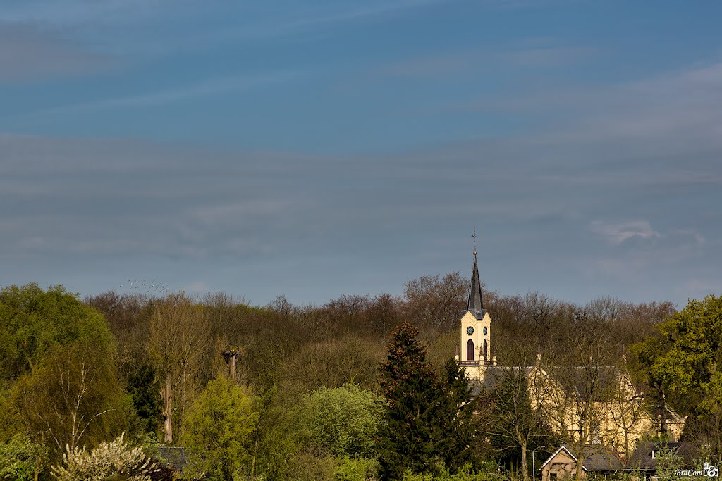 Dutch Reformed Church, Neerijnen by © BraCom (Bram)