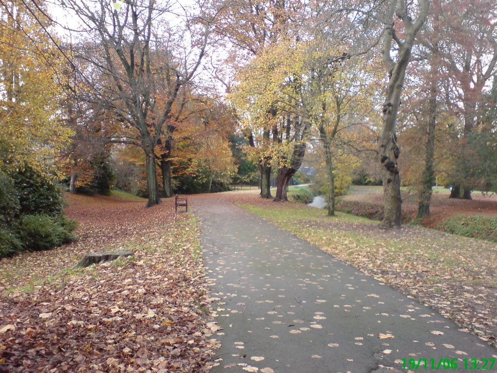 Routh Park, Cardiff by aabidr