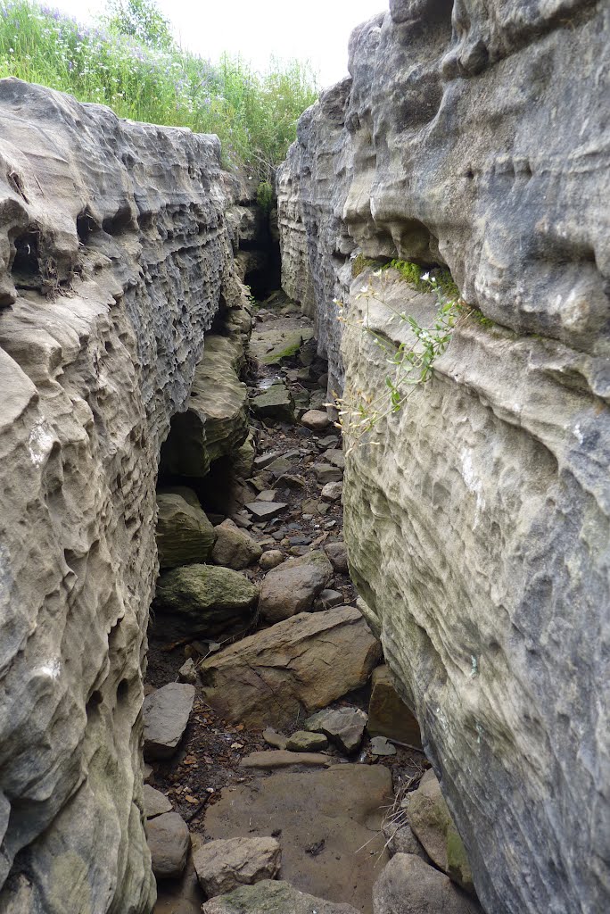 Going Into the Nexus Cave at Eramosa Karst, Hamilton Canada by Joseph Hollick