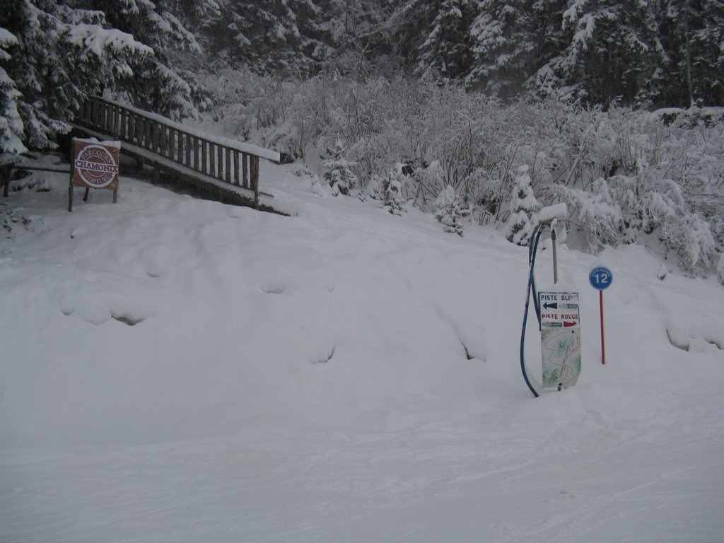 Les Planards, piste bleue (à gauche) ou piste rouge (à droite) ? by Paul Myers