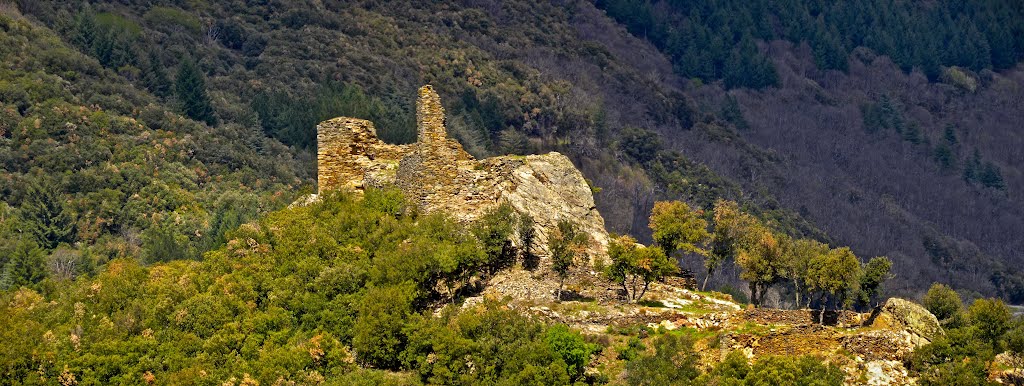 Castèl de Cap d'Espina, dit "Cabrespina" - Cabardés Aut by Franc Bardou