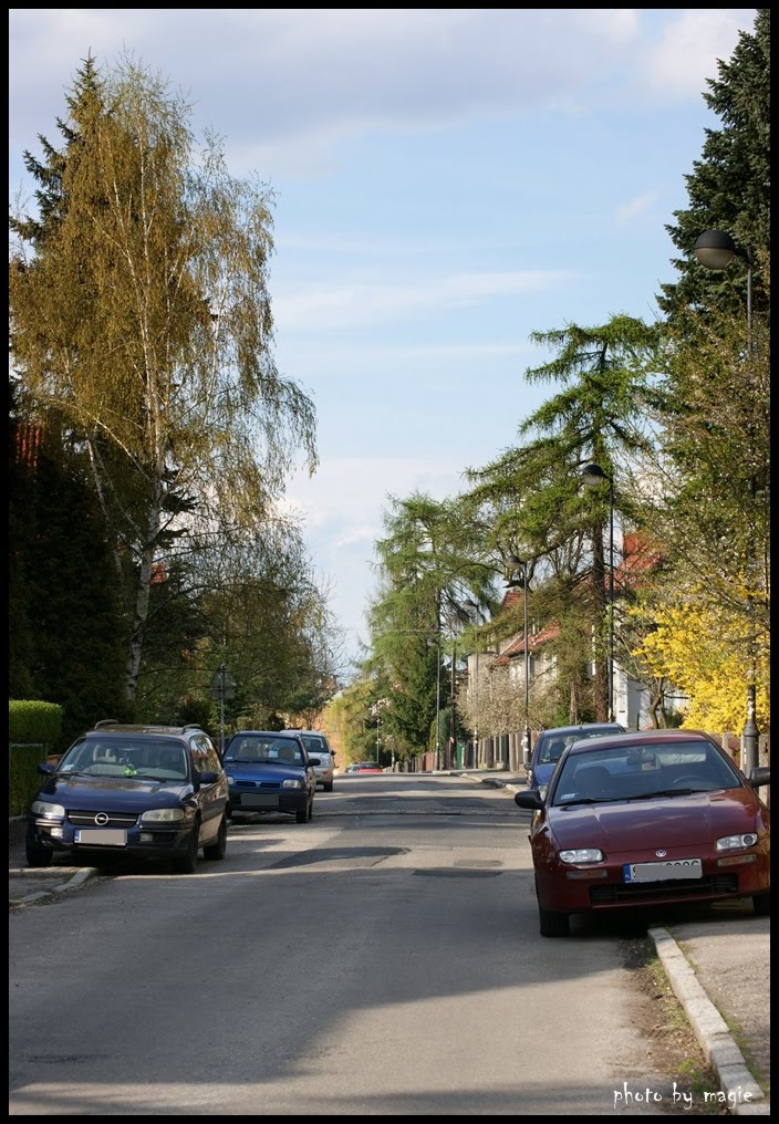 GLIWICE. Ul. Drozdów wiosną/ Spring in Drozdow street by Krystyna Koch-magie*