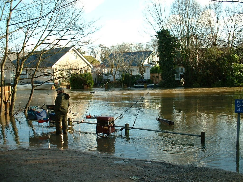 Thames in flood Jan 03 by pjroyal