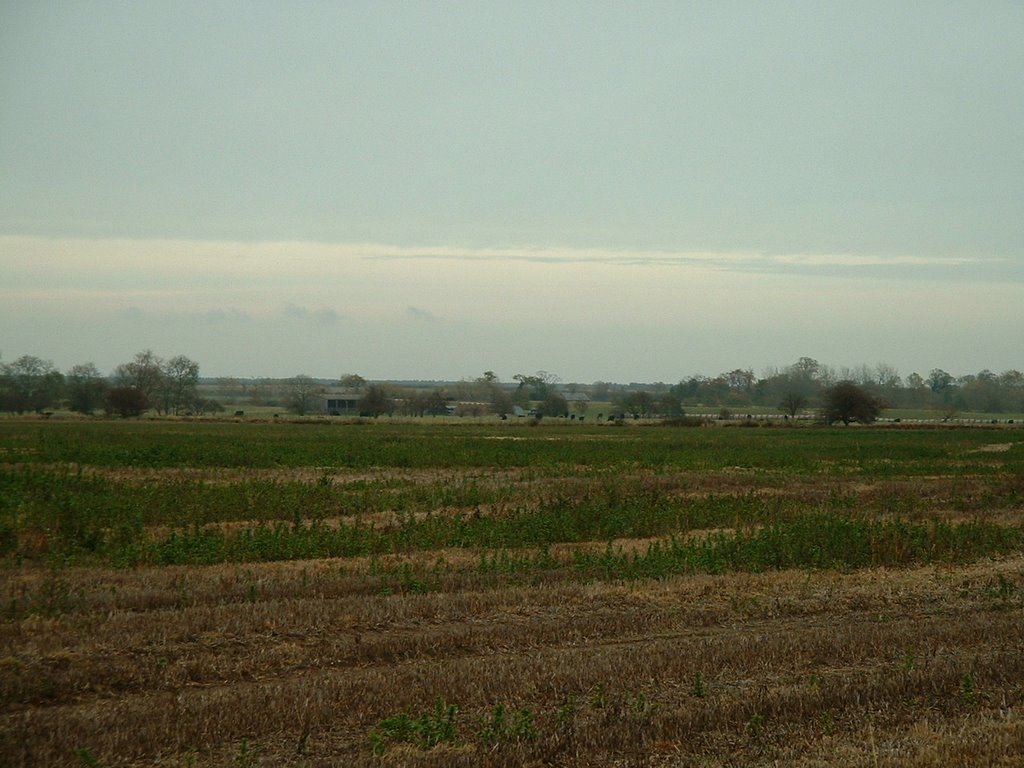 Hockwold Fen by pjroyal