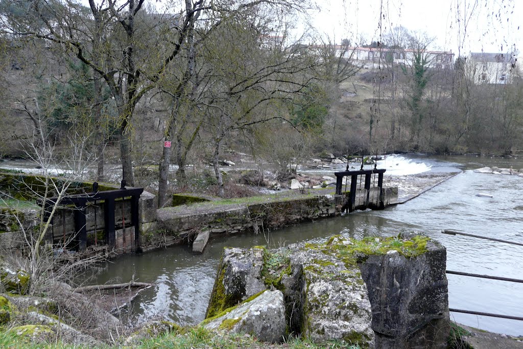 La Verrie, chaussée, vannages et bief de l'ancienne usine de la Cendrosière by tofil44