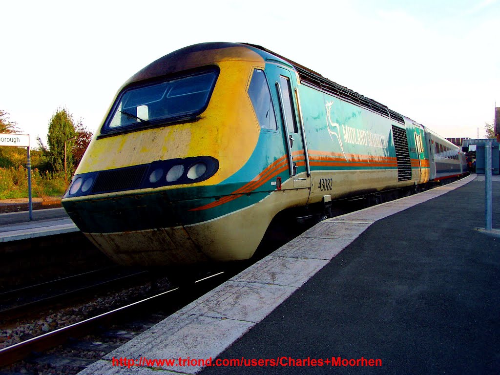 Class 43 082 Photo, in Midland Mainline livery, at Wellingborough station, England by Charles Moorhen