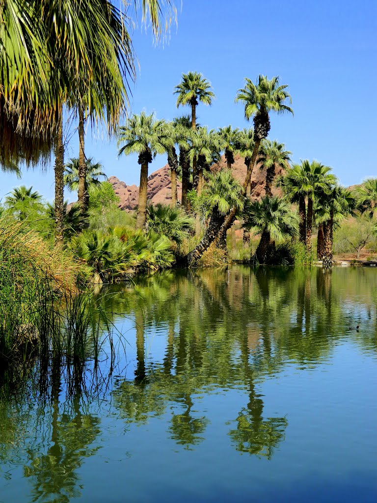 Papago Park, Phoenix, AZ, mar 28, 2012. by Tom Dudones