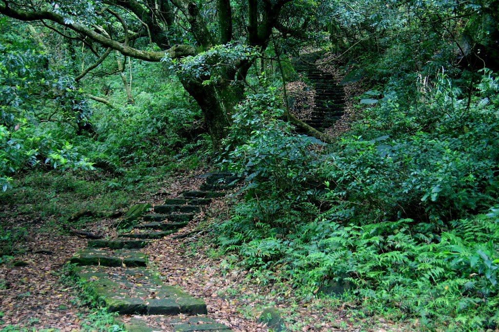 紗帽山步道 by frank348